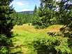 Nationalpark Harz