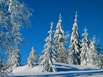 Harz-Winterwanderung durch das Wilde Odertal