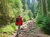 Wander-Urlaub Harz Wander-Urlaub Harz