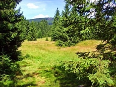 Nationalpark Harz Nationalpark Harz