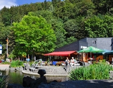Bad Harzburg