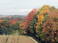 Harz-Tipps: Wandern im Harz