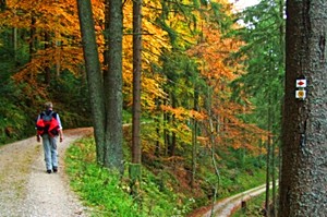 Rund um Benneckenstein finden Wanderer unzählige Routen verschiedenster Schwierigkeitsstufen vor. Besonders beliebt und eine echte Herausforderung ist dabei der Aufstieg zum Brocken, dem höchsten Berg des Harzes