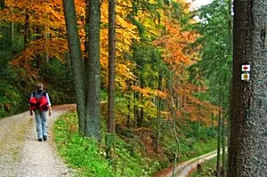 Rund um Tanne im Harz finden Aktiv-Urlauber beste Voraussetzungen für Wander-, Nordic Walking und Radwandertouren vor