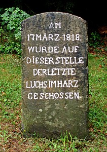 Der Luchsstein am Wanderweg zwischen Seesen und Lautenthal erinnert an den einst letzten Luchs des Harzes - heute werden Luchse im Harz gezielt wieder angesiedelt