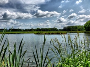 Die zahlreichen Teiche des Oberharzer Wasserregals sind beliebte Ausflugsziele für einheimische Wanderer und Harz-Urlauber