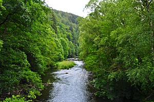 Das Bodetal ist relativ eng, für Orte bleibt nur wenig Platz im Tal und an den Hängen. Im Bild die Bode zwischen Altenbrak und Treseburg