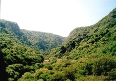 Blick auf das Bodetal