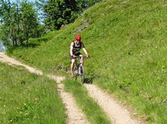 Mountainbiker im Harz