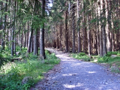 Der Harzer Hexenstieg - Aufstieg auf den Brocken