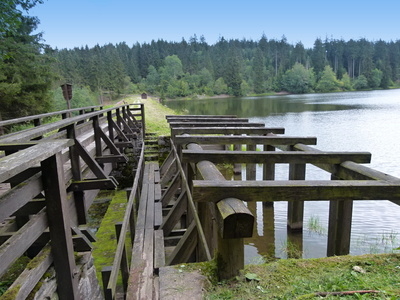 Harzteich, Teil des Wasserregals