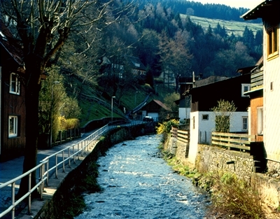 Blick auf Wildemann