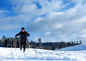 Der Harz ist ideal für Langlauf-Touren, aber auch Ski-Abfahrt ist in vielen Harz-Orten möglich