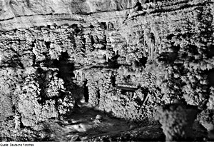 Die Kristallkammer der Hermannshöhle in Rübeland im Harz besteht aus unzähligen kleinen und großen Tropfsteinen