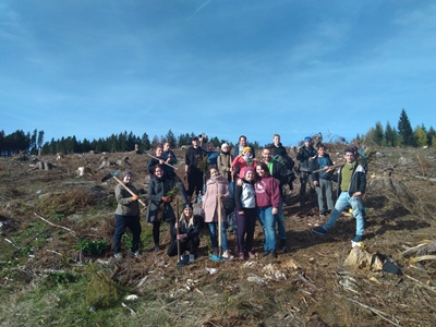 Mehr Artenvielfalt im Nationalparkwald