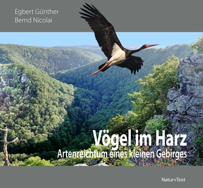 Vögel im Harz