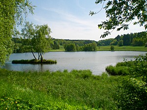Auf dem Stieger See, im Bild der Untere Teich, können Harz-Urlauber sich bei einer gemütlichen Fahrt im Tretboot entspannen