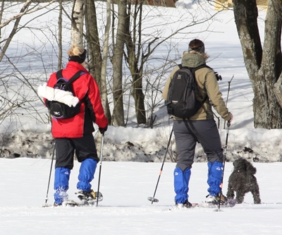 Schneeschuhlaufen im Oberharz