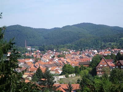 Blick auf Herzberg von unterhalb des Schlosses